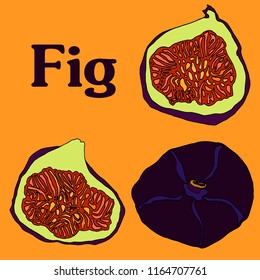 fig fruit cartoon vector sketch for banner stiker postcard