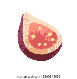 Fig fruit, cut half. Fresh exotic tropical food, ripe sweet pulp with seeds, cross-section piece, slice. Natural healthy nutrition, summer eating. Flat vector illustration isolated on white background