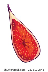 Fig Fruto cortado com pele fina e muitas pequenas sementes dentro do vetor