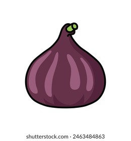 fig fruit drawing in a simple style. You can use it for children books, web design, posters, campaigns, and many more. 