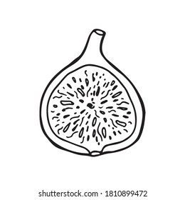 Frutas de fuego. Dibujo en estilo de esbozo. Ilustración vectorial dibujada a mano.