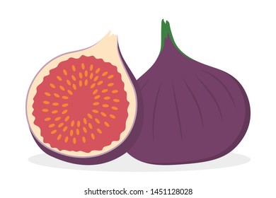 Fig fruit. Exotic vegetarian nutrition. Fresh and ripe organic food full of vitamin. Isolated vector illustration in cartoon style