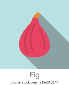 Fig fruit flat icon, vector illustration