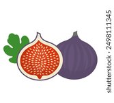 fig fruit flat vector illustration