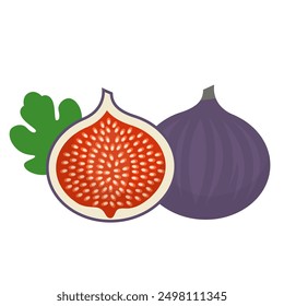 fig fruit flat vector illustration