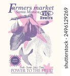 Fig Fruit Graphic, farmers market Santa Monica, fruit print design, autumn winter fruit design, t-shirt design, sweatshirt print,  fig vintage hand drawn illustration, fruits poster design, tropical 