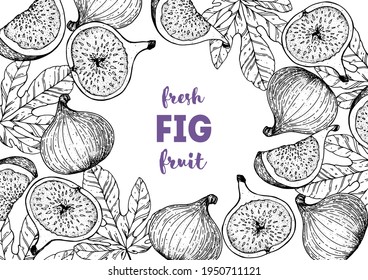 Feigenfrucht handgezeichnet Verpackungsdesign. Vektorgrafik. Design, Paket, Broschüre Illustration. Verpackungsdesign. Handgezeichnete Feigenobst-Designvorlage. Bio-frische Lebensmittel, Vektorgrafik.