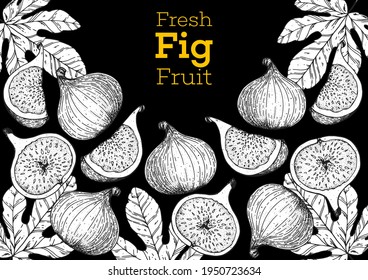 Fig fruit hand drawn package design. Vector illustration. Design, package, brochure illustration. Packaging design. Hand drawn fig fruits design template. Organic fresh food vector illustration.