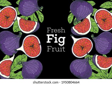 Fig fruit hand drawn package design. Vector illustration. Design, package, brochure illustration. Packaging design. Hand drawn fig fruits design template. Organic fresh food vector illustration.