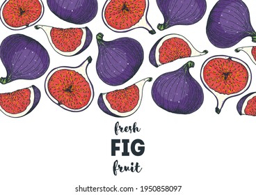 Fig fruit hand drawn package design. Vector illustration. Design, package, brochure illustration. Packaging design. Hand drawn fig fruits design template. Organic fresh food vector illustration.