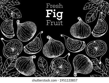 Fig fruit hand drawn package design. Vector illustration. Design, package, brochure illustration. Packaging design. Hand drawn fig fruits design template. Organic fresh food vector illustration.