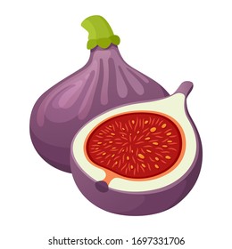 Fig cartoon 11,620 รายการ ภาพ ภาพสต็อกและเวกเตอร์ | Shutterstock