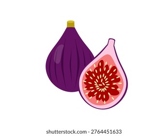 Fig fruit icon isolated on white background. Whole and cut fig fruit. Vector illustration.
