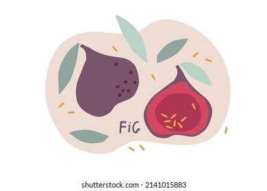 Fig Fruit with leaves, hand drawn doodle sketch isolated. Flat vector illustration Food template for menu, nursery design, sticker, logo, detox diet concept, farmers market. Whole fruit and cut half .
