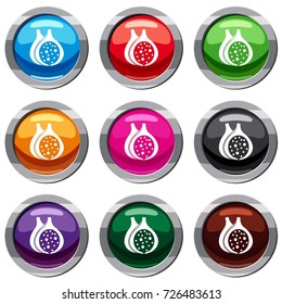 Fig fruit set icon isolated on white. 9 icon collection vector illustration