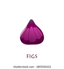 Fig fruit vector design. Fig vector illustration.