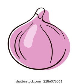 Ilustración vectorial de frutas de fig. Frutos de higo dibujados a mano Aislados sobre fondo blanco. Caricatura de arte en línea.