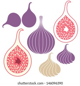 Fig fruit vector illustration. Isolated fig on white background