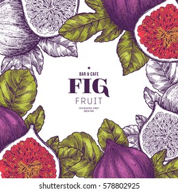 Fig fruit vintage design template. Botanical fruit. Engraved fig. Vector illustration
