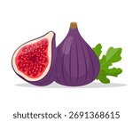 Fig fruit. Whole and cut fig fruit and leaf. Organic tropical fruit. Vector icon illustration isolated on white background.