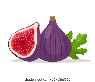 Fruta de higo. Fruta y hoja de higo enteras y cortadas. Fruta tropical orgánica. Ilustración de icono de Vector aislado sobre fondo blanco.