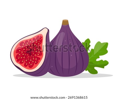 Fig fruit. Whole and cut fig fruit and leaf. Organic tropical fruit. Vector icon illustration isolated on white background.