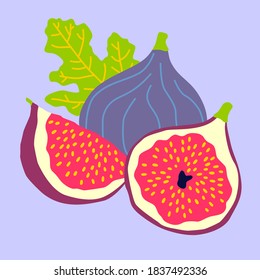 Fig fruits, hand drawn vector illustration