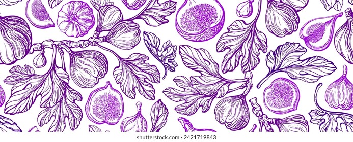 Patrón de frutos de higo. Frutos dibujados a mano por vectores. Ilustración de estilo grabado de época. Carica de ficus botánico. Fondo de verano