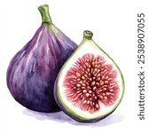 fig fruits watercolor clipart illustration