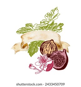 Fig graphics, fruits, leaves, flower. Vector illustration. Label with vintage banner for text. Food, cosmetics, cards, flyers, posters, covers.