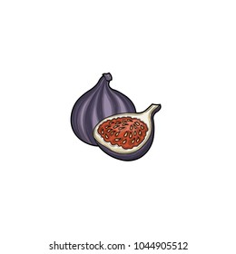 Fig. Half of the figs. Fruit crop. Tropical fruit. Illustration. Isolated on white background.