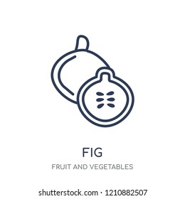 Fig icon. Fig linear symbol design from Fruit and vegetables collection. Simple outline element vector illustration on white background.