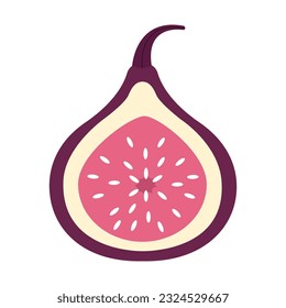 Fig icon on isolated on vector isolated on white background eps 10