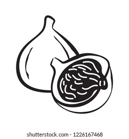 Fig icon, vector illustration