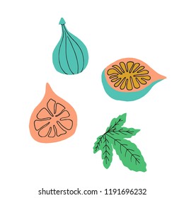 Fig icons set in hand drawn style. Vector illustration