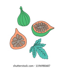 Fig icons set in hand drawn style. Vector illustration