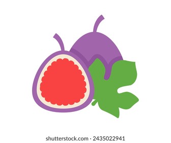 fig illustration for coloring book template, fig for kids worksheet printable