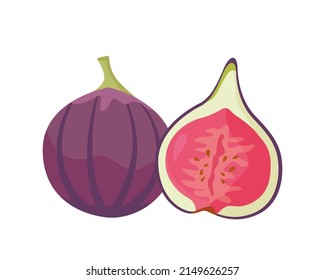 Fig illustration. Fruit whole and cut. Flat vector illustration in cartoon style isolated on white background