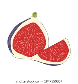 Fijar ilustración vectorial aislada. Concepto de verano. Fondo floral. Fondo botánico. Arte de la naturaleza.