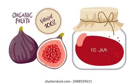 Mermelada de higo. Dibujo de garabato dibujado a mano de higo enlatado. Jalea de frutas casera en tarro de vidrio aislado. Frasco de frutas conservadas. Vector plano Plantilla de alimentos para el menú, etiqueta engomada, logotipo, concepto de dieta de desintoxicación, mercado de agricultores.