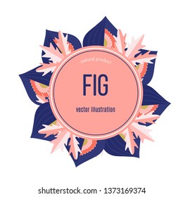 Fig label  design in flat style.Fig vector drawing. Hand drawn fruit and sliced piece. Summer food flat style illustration. Great for label, poster, print, menu - Vector 