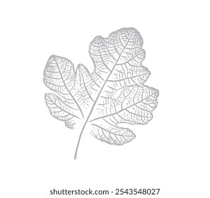            Abb. Blattdesign mit Stempeleffekt. Botanischer Abdruck einer Vielzahl von Feigenblattproben.                    
