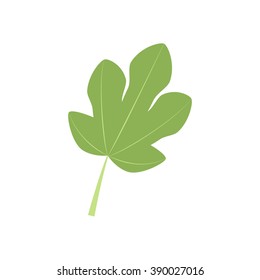 Fig Leaf Icon On The White Background. Vector Illustration