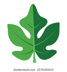 Fig leaf isolated on white background. fig leaf in flat style illustration. vector illustration
