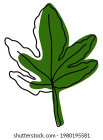 fig leaf, summer illustration, green colors, leaf icons, vector illustration, white background, flat icon, single line, doodle and color spots, graphic doodle, freehand drawing