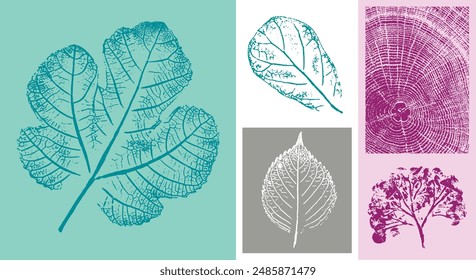 Ilustración de diseño de hojas de higuera con efecto de sello. Estampado botánico con anillos de árbol de grano final y patrones coloridos.