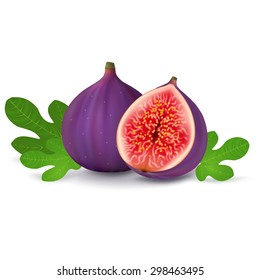 Fig with leaves on a white background. Vector illustration.