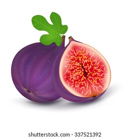 Fig with leaves on a white background. Vector illustration for decorative poster, emblem natural product. Concept for farmers market. Perfect for packaging design of cosmetics, food.