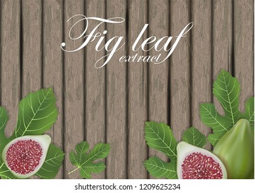 Fig leaves on wooden cutting board. Figs leaf. Banner design elements. Vector illustration.