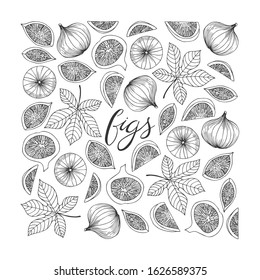 Fig lettering. Fruit doodle poster. Stock vector illustration.